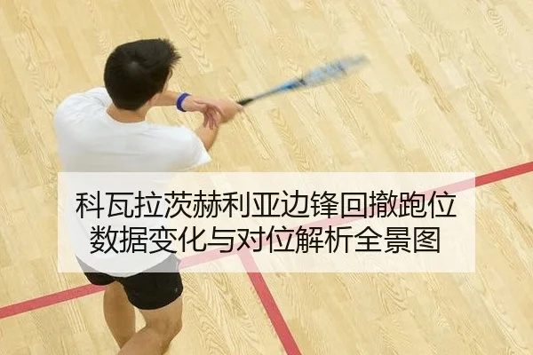 ke-wa-la-ci-he-li-ya-bian-feng-hui-che-pao-wei-shu-ju-bian-hua-yu-dui-wei-jie-xi-quan-jing-tu-2-535.jpg